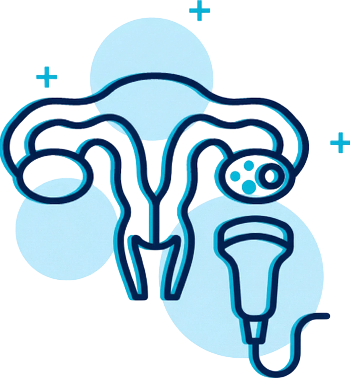 Follicular Monitoring Icon