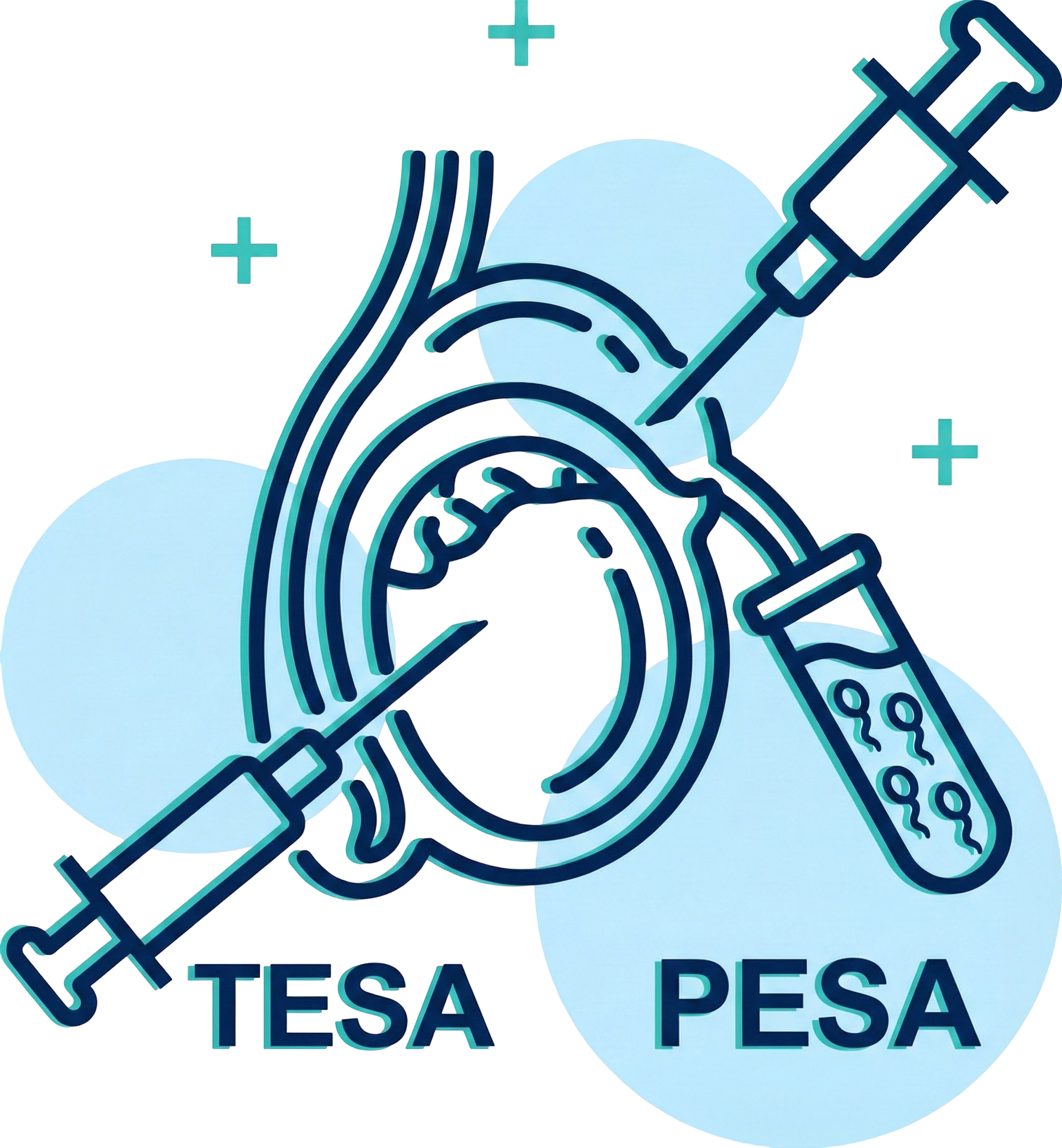 TESA / PESA Icon